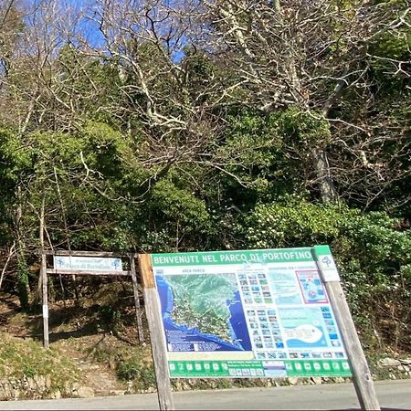 Casaviva - Bilo With Seaview And Parking In Camogli公寓 外观 照片